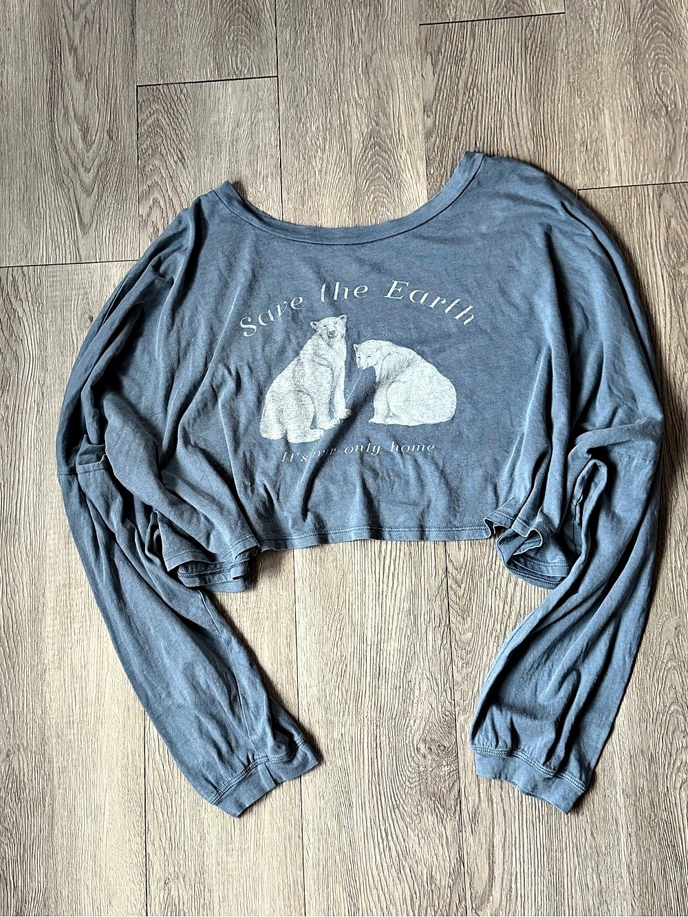 American Eagle Save the Earth Polar Bear Cropped Long Sleeve T-Shirt Blue Medium